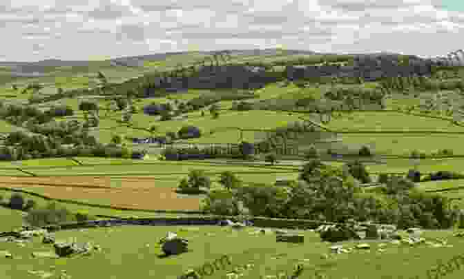 A Beautiful View Of The Yorkshire Dales, With Lush Green Fields And A Winding River My Yorkshire Great And Small: Journey Through Britain S Finest County With The Yorkshire Vet