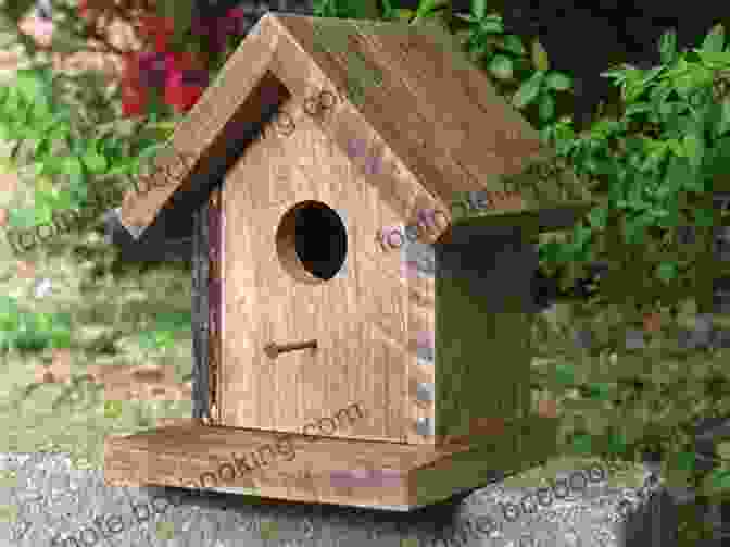 A Birdhouse Made Of Wood Easy Carpentry Projects For Children (Dover Children S Activity Books)