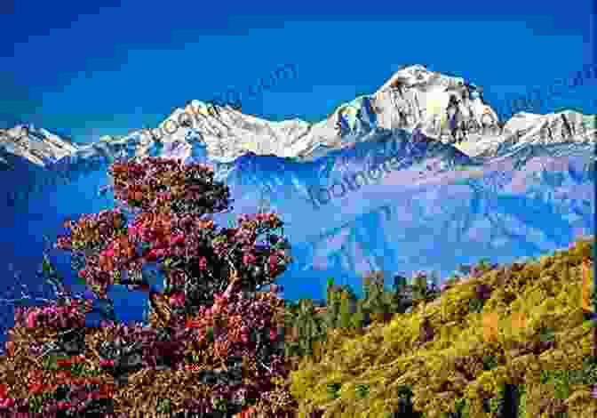 A Breathtaking View Of The Himalayas, Inviting You On A Transformative Journey Snowboarding To Nirvana: A Spiritual Journey (Surfing The Himalayas 2)