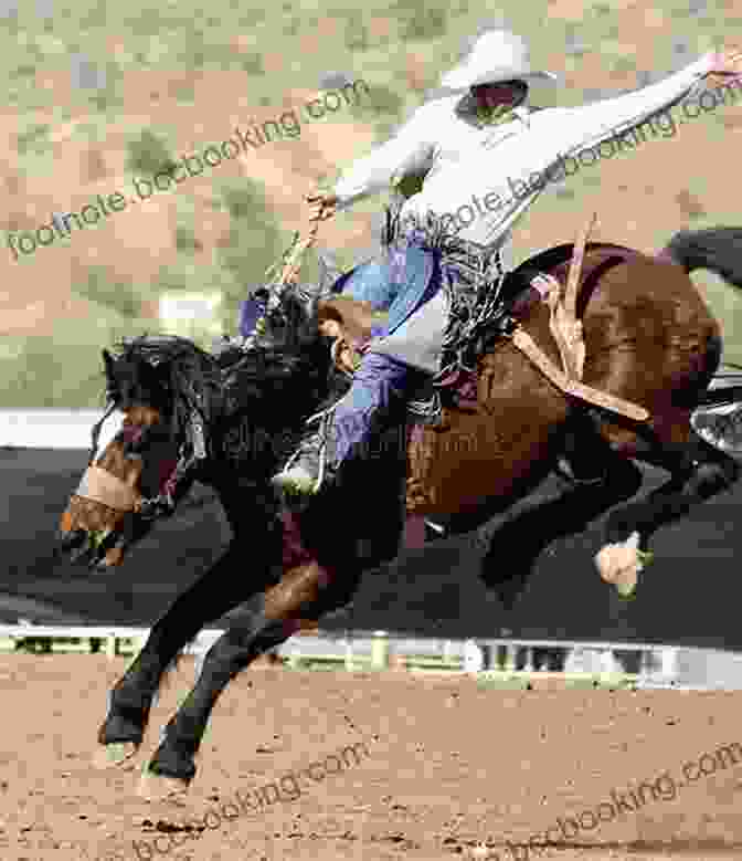 A Cowboy Riding A Bucking Bronco At A Rodeo Rodeos Around The World: Facts And How To Rodeo: About Rodeos