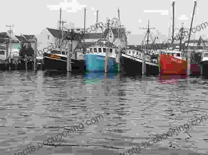 A Fleet Of Commercial Fishing Boats Docked In A New England Harbor Tiggie: The Lure And Lore Of Commercial Fishing In New England