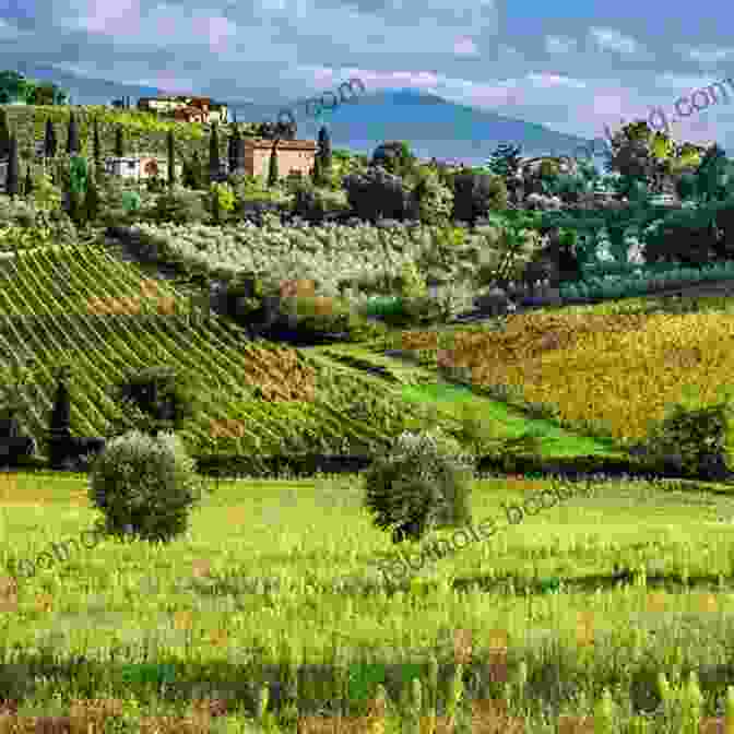 A Picturesque View Of The Rolling Tuscan Countryside, Dotted With Vineyards And Cypress Trees Fodor S Florence Tuscany: With Assisi And The Best Of Umbria (Full Color Travel Guide)