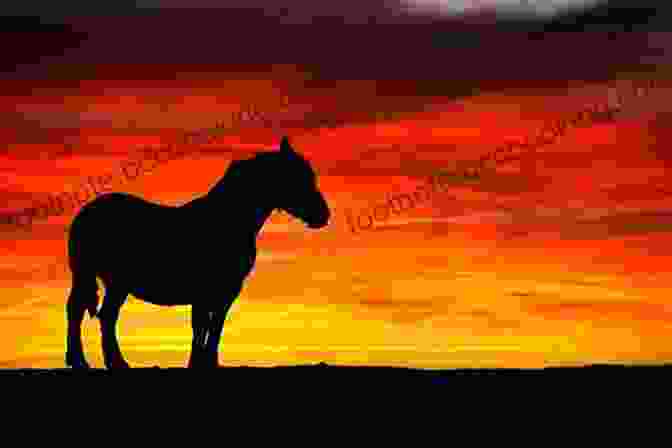 A Rider And Horse Silhouetted Against A Picturesque Sunset, Symbolizing The Unbreakable Bond Built On Trust Whole Heart Whole Horse: Building Trust Between Horse And Rider