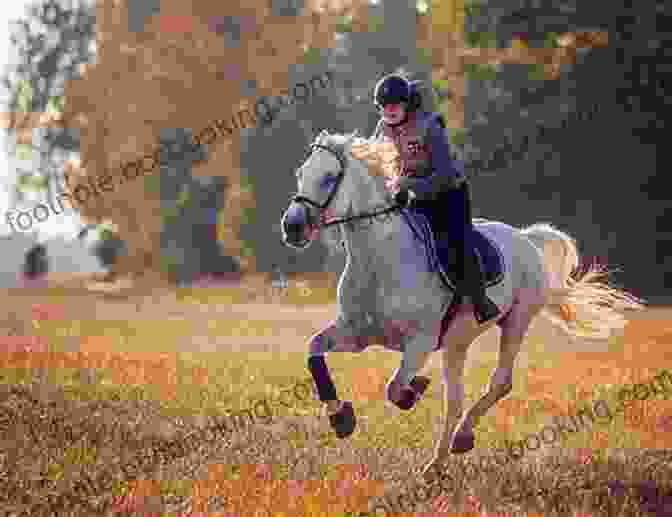 A Rider And Their Horse Galloping Through A Field Fosta: Marathon Master (True Horse Stories 6)