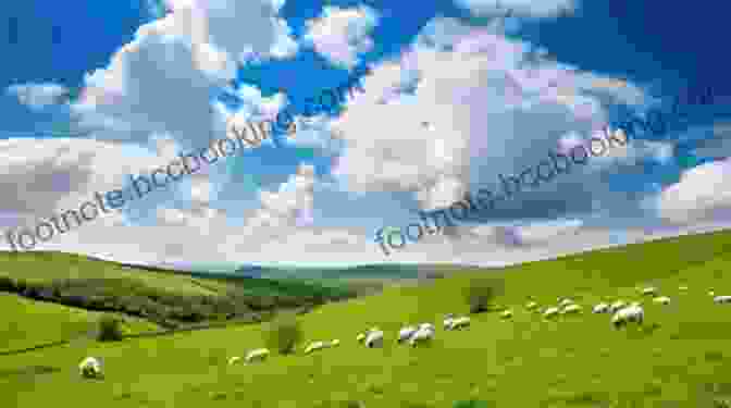 A Stunning Landscape Of Rolling Hills And Sheep Grazing In The Yorkshire Countryside My Yorkshire Great And Small: Journey Through Britain S Finest County With The Yorkshire Vet