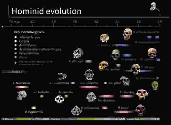 A Timeline Of Human Evolution, From Early Hominids To Modern Humans Your Inner Fish: A Journey Into The 3 5 Billion Year History Of The Human Body