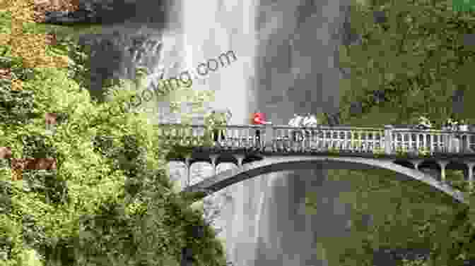 A Woman Standing On A Bridge Overlooking A Waterfall In Northern California Forbidden Falls (Virgin River 9)
