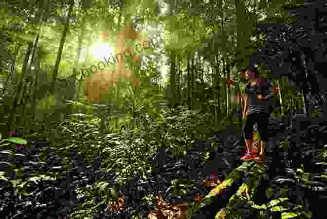 Adventurous Travelers Trekking Amidst A Dense And Vibrant Rainforest The Best American Travel Writing 2024