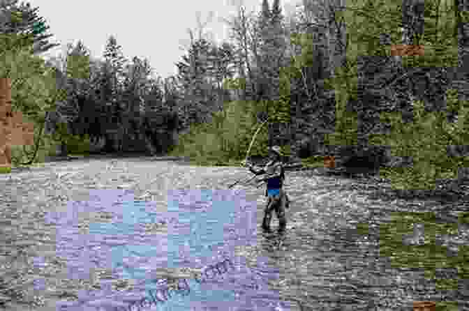 Angler Casting A Fly Rod Into A Wisconsin Trout Stream Exploring Wisconsin Trout Streams: The Angler S Guide