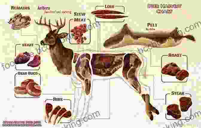 Butchering Venison The Ultimate Guide To Butchering Deer: A Step By Step Guide To Field Dressing Skinning Aging And Butchering Deer (Ultimate Guides)