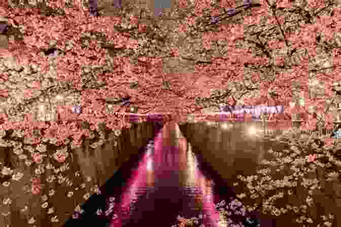 Cherry Blossoms Blooming In Japan, A Symbol Of Beauty And Renewal Fodor S Essential Japan (Full Color Travel Guide)