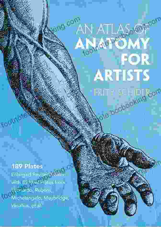 Cover Of 'Albinus On Anatomy: Dover Anatomy For Artists' Albinus On Anatomy (Dover Anatomy For Artists)