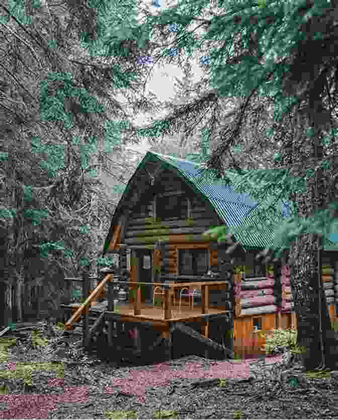Cozy Off Grid Cabin Surrounded By Lush Greenery Growing A Farmer: How I Learned To Live Off The Land