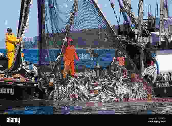 Fishermen Hauling In Nets On A Commercial Fishing Boat Tiggie: The Lure And Lore Of Commercial Fishing In New England