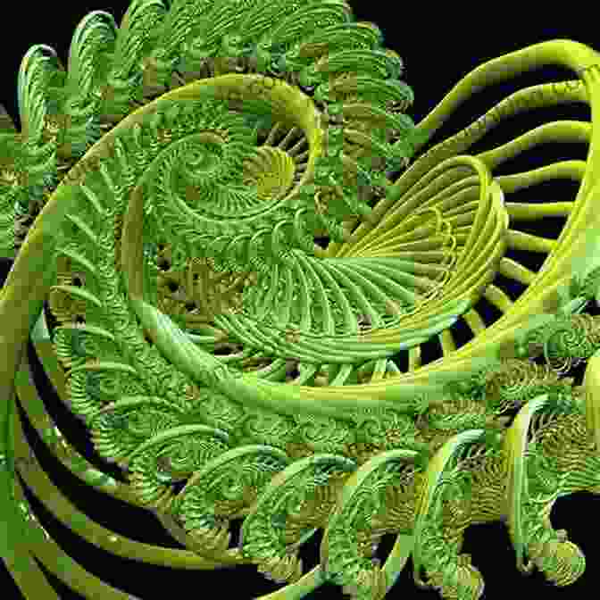 Fractals In Nature Sacred Geometry Of Nature: Journey On The Path Of The Divine