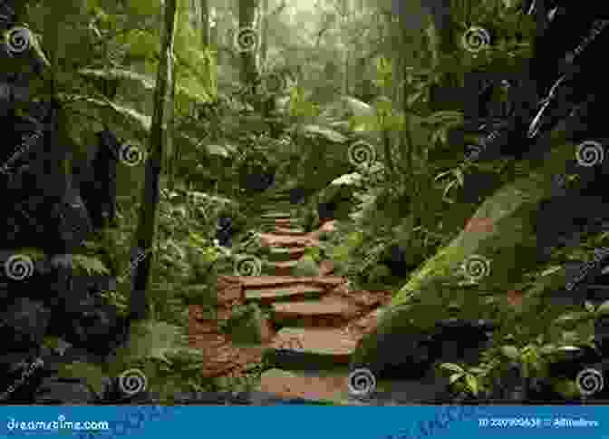 Group Of People Hiking Through A Lush Rainforest, Surrounded By Towering Trees And Cascading Waterfalls The Island Hopping Digital Guide To The Northwest Caribbean Part I The Northern Coast Of Jamaica