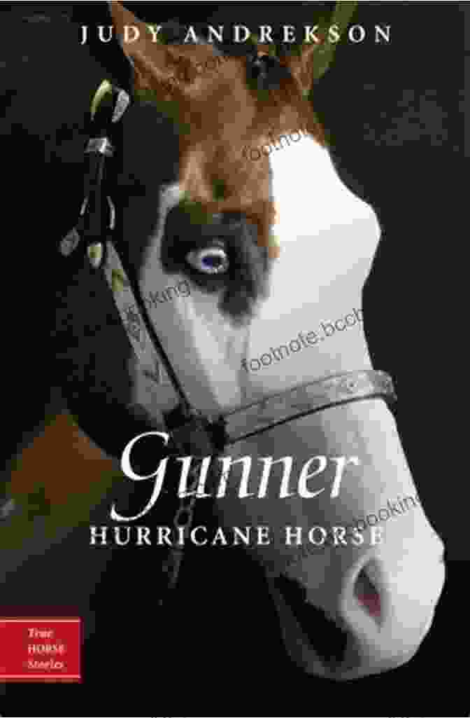 Gunner Hurricane Horse Gunner: Hurricane Horse (True Horse Stories 1)