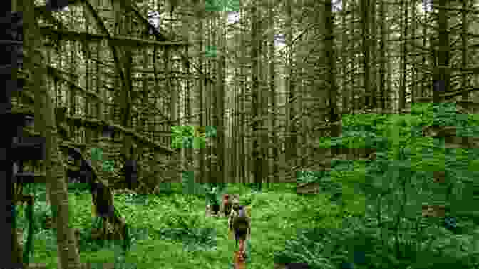 Hikers In Oregon Forest Trail Fodor S Oregon (Full Color Travel Guide)