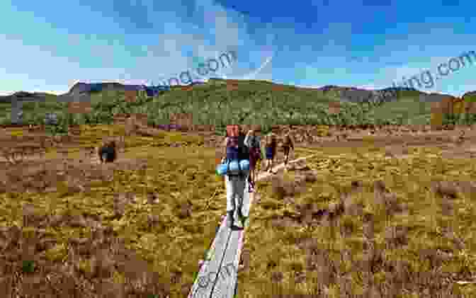 Hikers Trekking Through The Scenic Overland Track In Tasmania, Australia How To Hike The Overland Track In Tasmania Australia