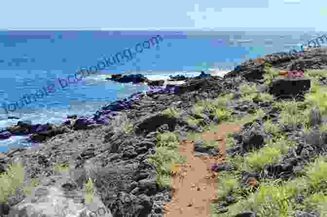 Lanai's Rugged Coastline With Towering Cliffs And Azure Waters Fodor S Maui: With Molokai Lanai (Full Color Travel Guide)