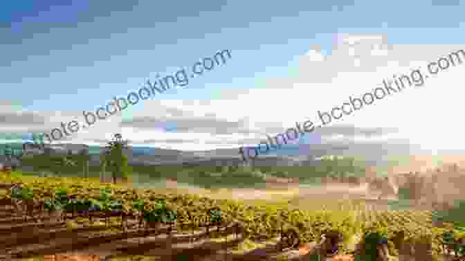 Napa Valley And Sonoma County Vineyards Under A Clear Blue Sky Fodor S Northern California: With Napa Sonoma Yosemite San Francisco Lake Tahoe The Best Road Trips (Full Color Travel Guide)