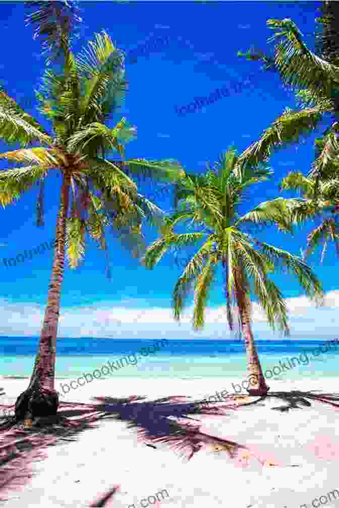 Panoramic View Of A Secluded Beach With Palm Trees, White Sand, And Calm Azure Waters The Island Hopping Digital Guide To The Northwest Caribbean Part I The Northern Coast Of Jamaica