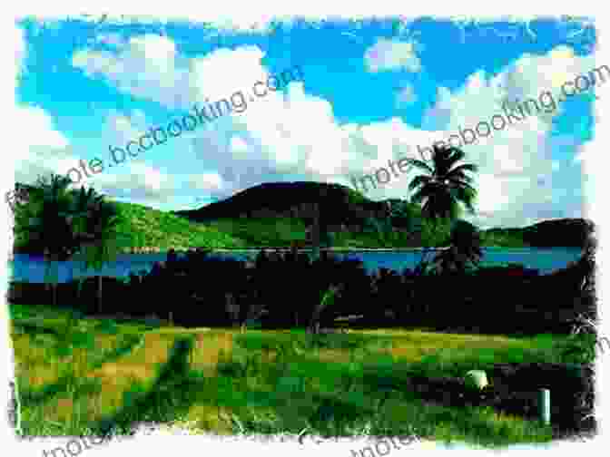Panoramic View Of Antigua's Lush Green Landscape And Turquoise Waters The Island Hopping Digital Guide To The Leeward Islands Part III Antigua And Barbuda