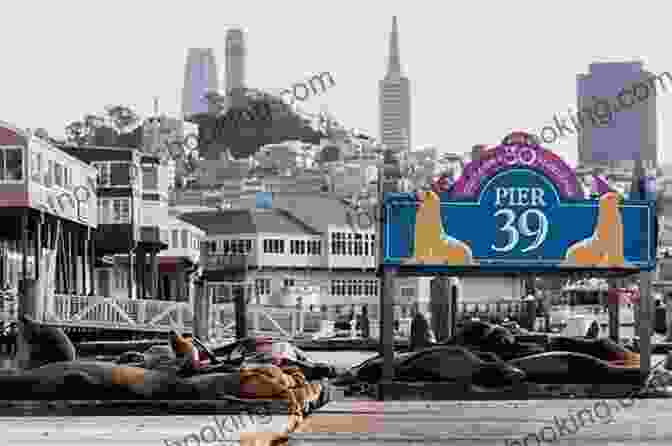 Pier 39 With Sea Lions And The San Francisco Skyline Fodor S San Francisco: With The Best Of Napa Sonoma (Full Color Travel Guide)