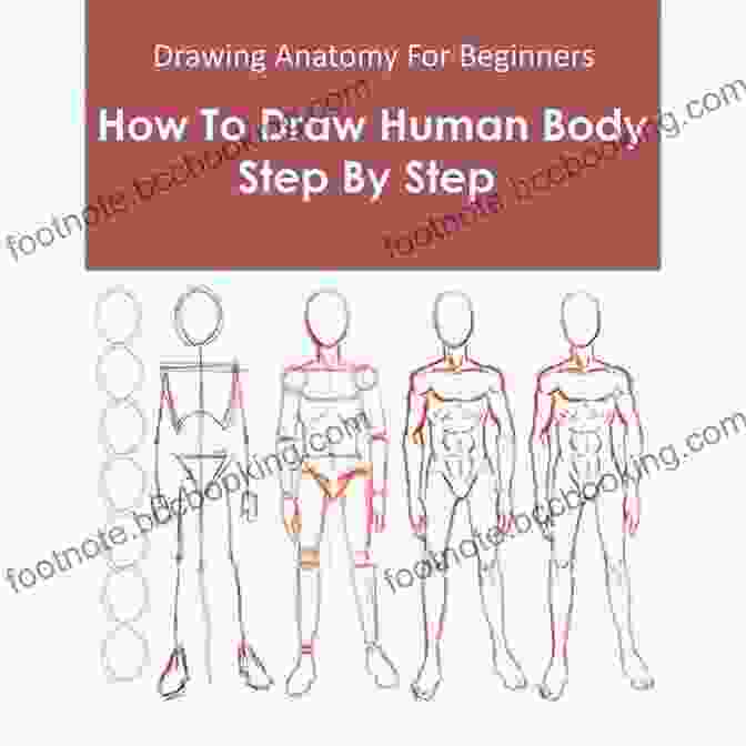 Step By Step Tutorials For Drawing The Human Body From An Atlas Of Anatomy For Artists An Atlas Of Anatomy For Artists (Dover Anatomy For Artists)