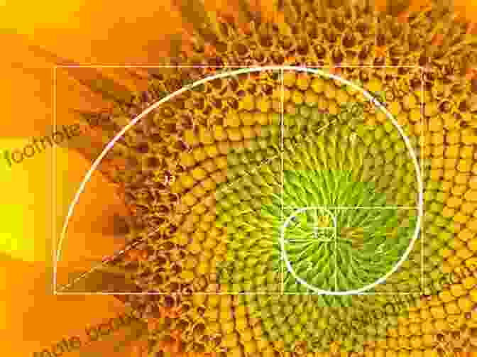 The Fibonacci Sequence In Nature Sacred Geometry Of Nature: Journey On The Path Of The Divine