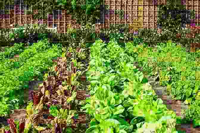 Thriving Vegetable Garden With Rows Of Fresh Produce Growing A Farmer: How I Learned To Live Off The Land
