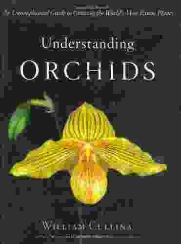 Understanding Orchids: An Uncomplicated Guide To Growing The World S Most Exotic Plants