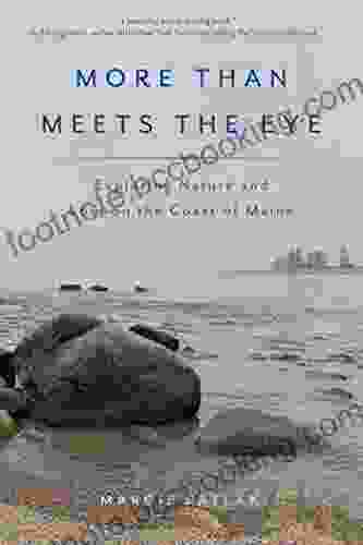More Than Meets The Eye: Exploring Nature And Loss On The Coast Of Maine