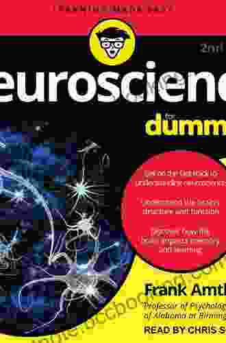 Neuroscience For Dummies Frank Amthor