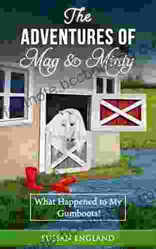 The Adventure Of Mag Minty: * Where Are My Gumboots? * (Book 2)