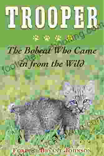 Trooper: The Bobcat Who Came In From The Wild