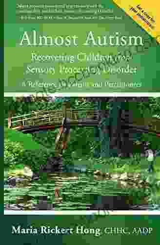 Almost Autism: Recovering Children From Sensory Processing Disorder: A Reference For Parents And Practitioners